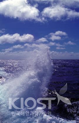 태평양 풍경(Seascape of the Pacific) 의 사진